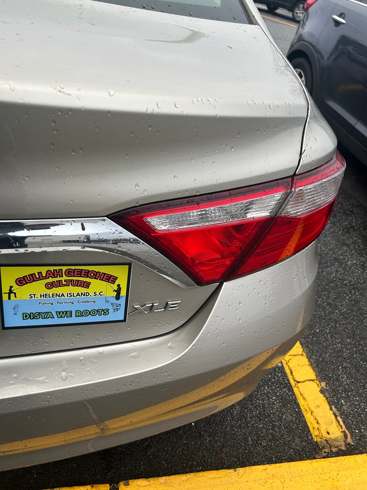 Gullah Geechee Culture Car Magnet — "Disya We Roots" St. Helena Island, SC